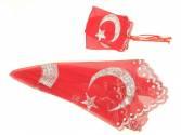 Kına Duvakları, Ayyıldızlı Kına Örtüsü